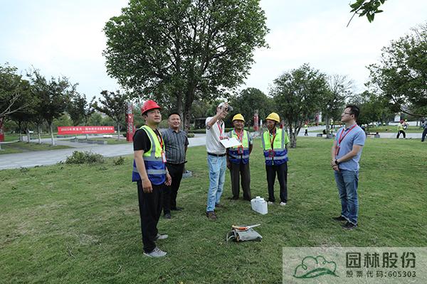 亚洲精品白浆高清久久久久久