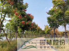 亚洲精品白浆高清久久久久久