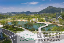 亚洲精品白浆高清久久久久久