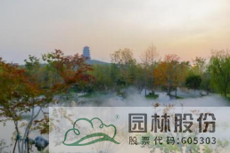 亚洲精品白浆高清久久久久久