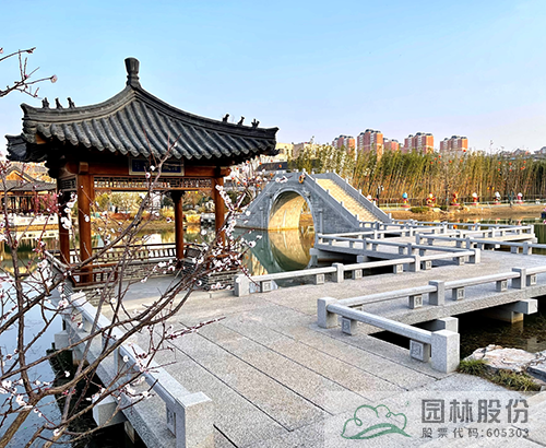 亚洲精品白浆高清久久久久久