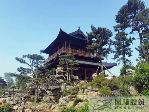 亚洲精品白浆高清久久久久久