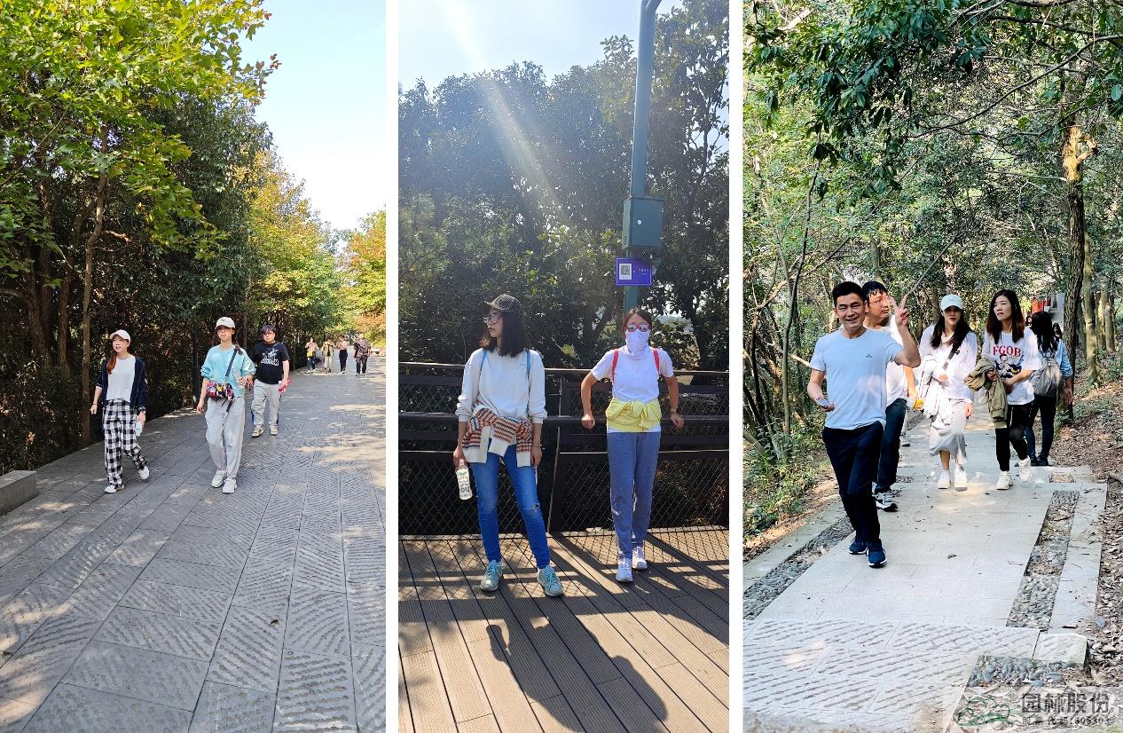 亚洲精品白浆高清久久久久久