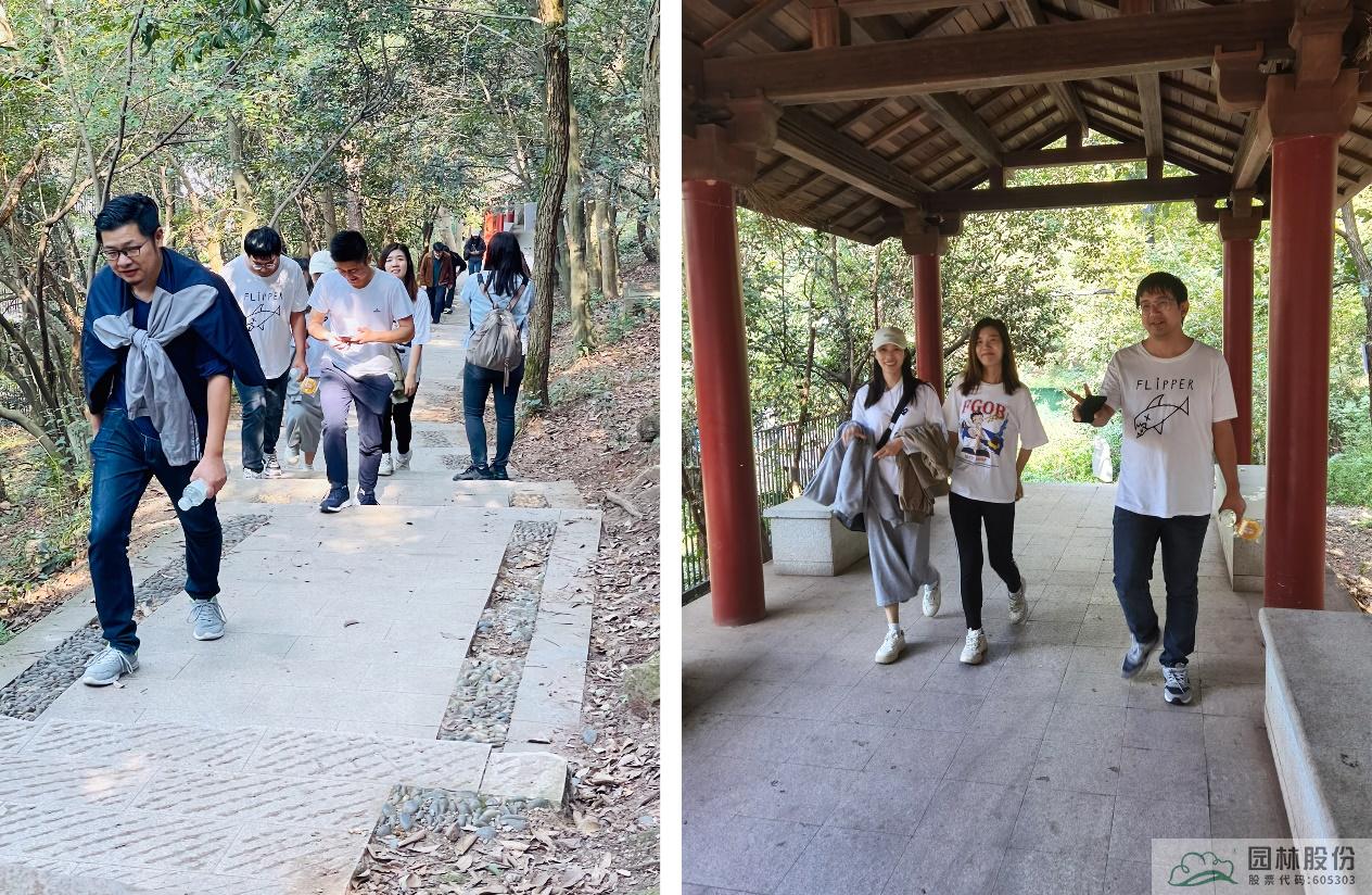 亚洲精品白浆高清久久久久久