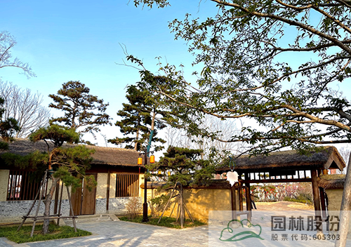 亚洲精品白浆高清久久久久久