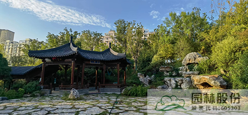 亚洲精品白浆高清久久久久久