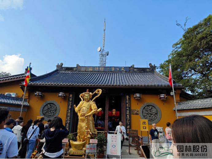 亚洲精品白浆高清久久久久久