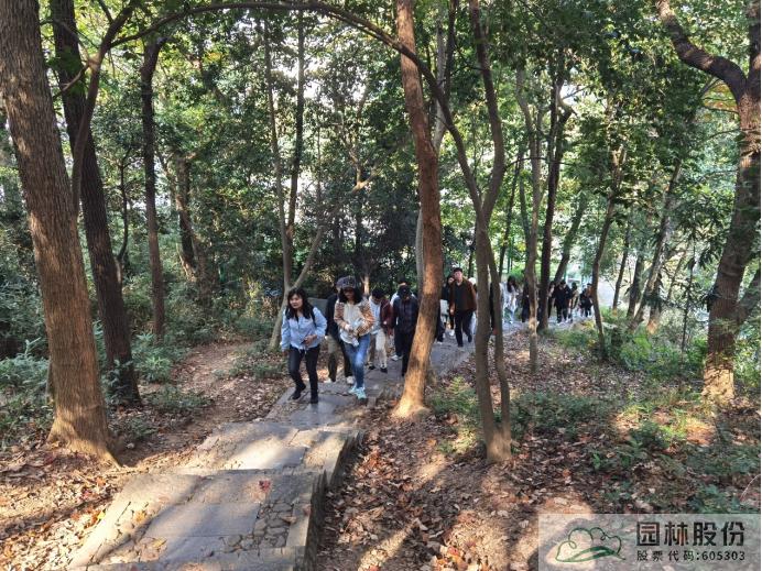 亚洲精品白浆高清久久久久久