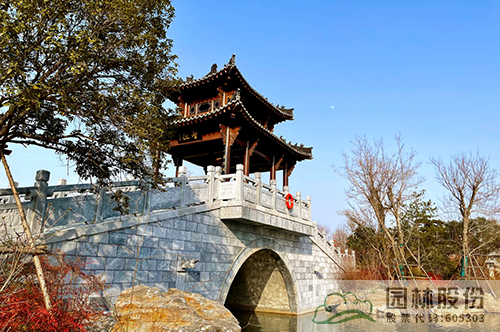 亚洲精品白浆高清久久久久久