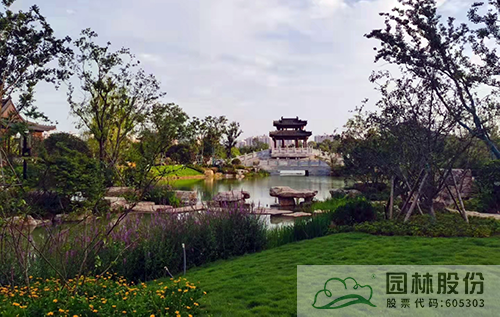 亚洲精品白浆高清久久久久久