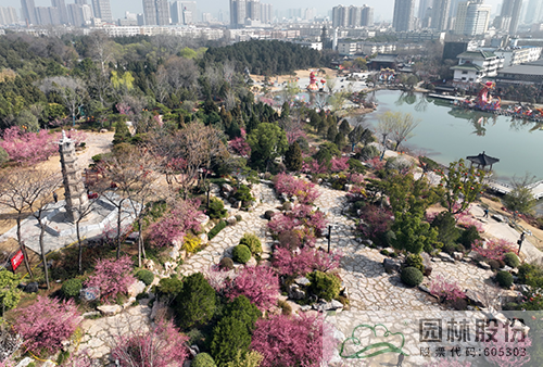 亚洲精品白浆高清久久久久久