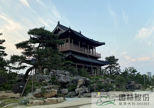 亚洲精品白浆高清久久久久久