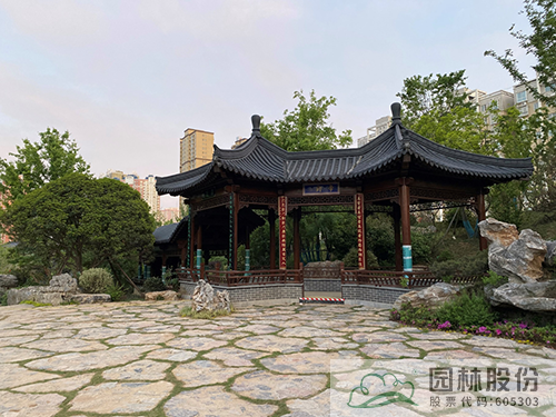 亚洲精品白浆高清久久久久久