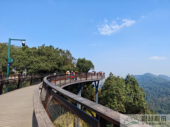 亚洲精品白浆高清久久久久久