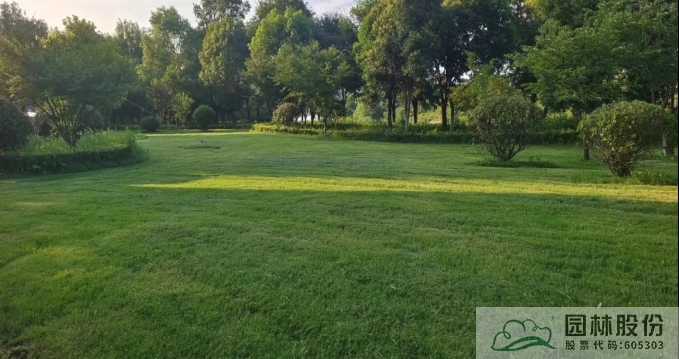 亚洲精品白浆高清久久久久久