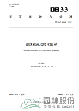 亚洲精品白浆高清久久久久久