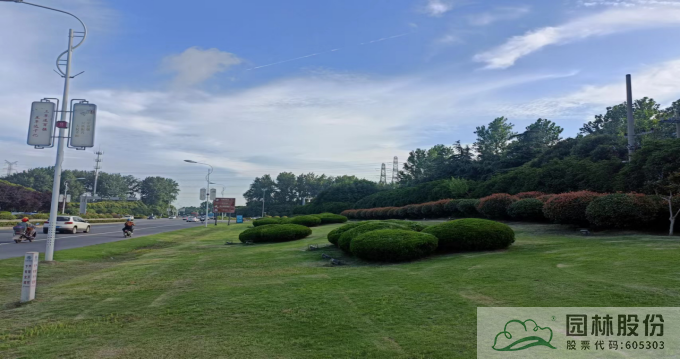 亚洲精品白浆高清久久久久久