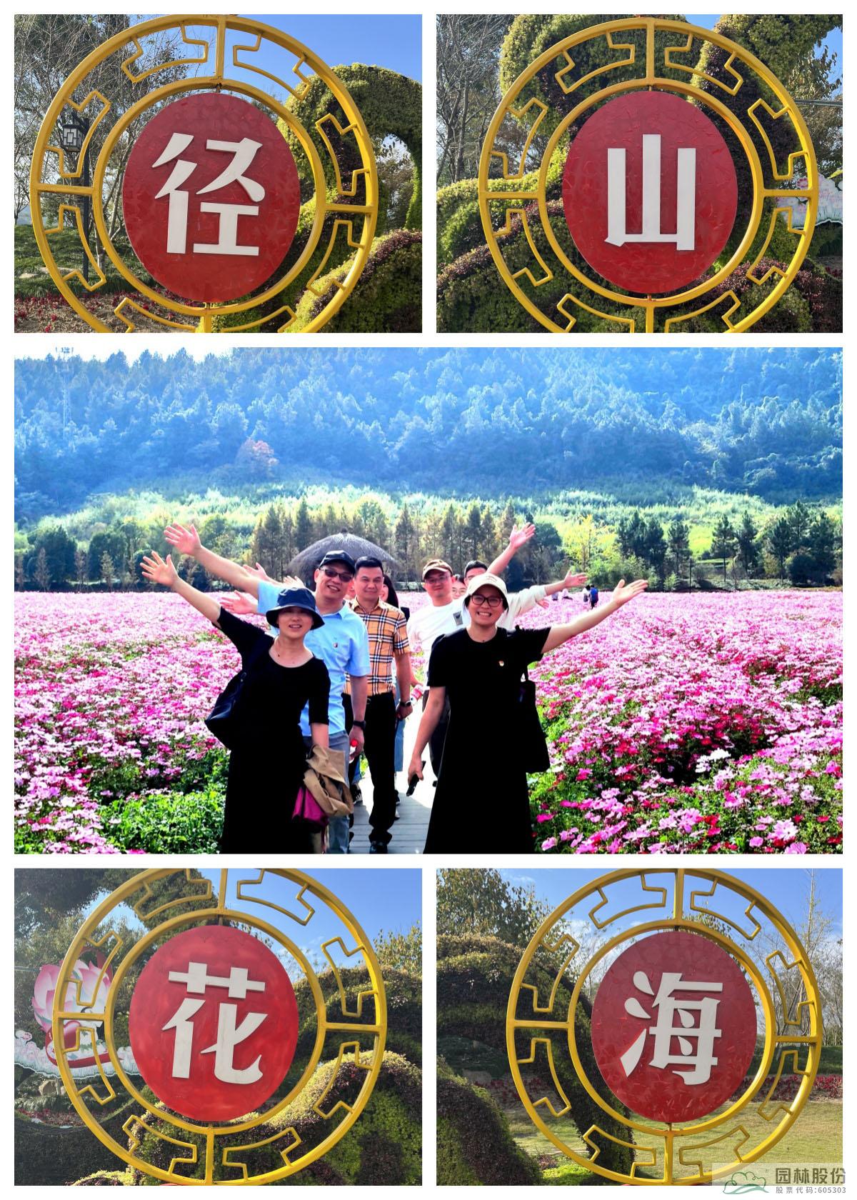 亚洲精品白浆高清久久久久久