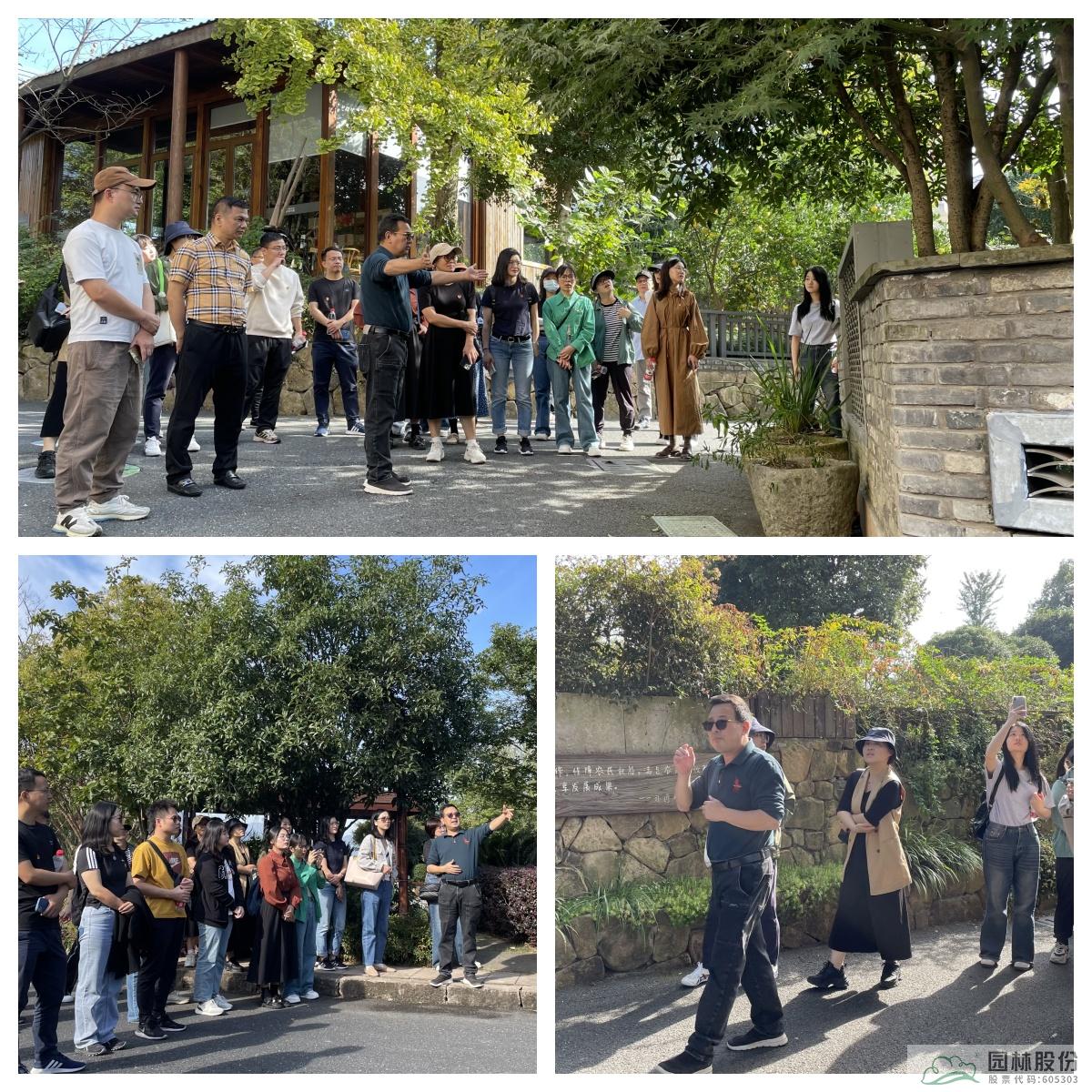 亚洲精品白浆高清久久久久久