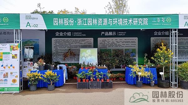 亚洲精品白浆高清久久久久久