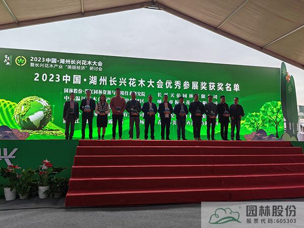 亚洲精品白浆高清久久久久久