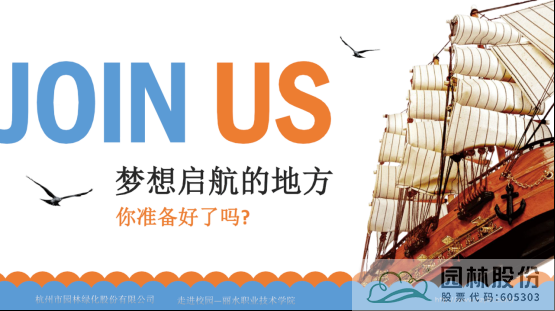 亚洲精品白浆高清久久久久久