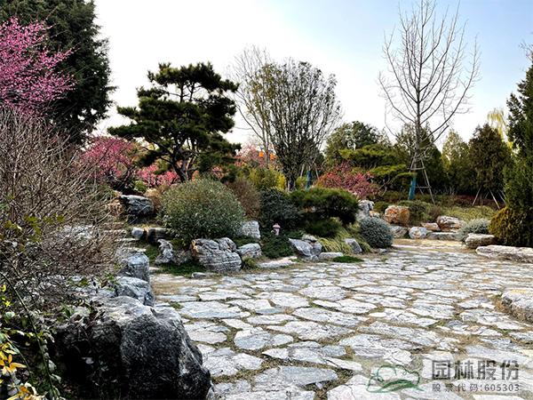 亚洲精品白浆高清久久久久久