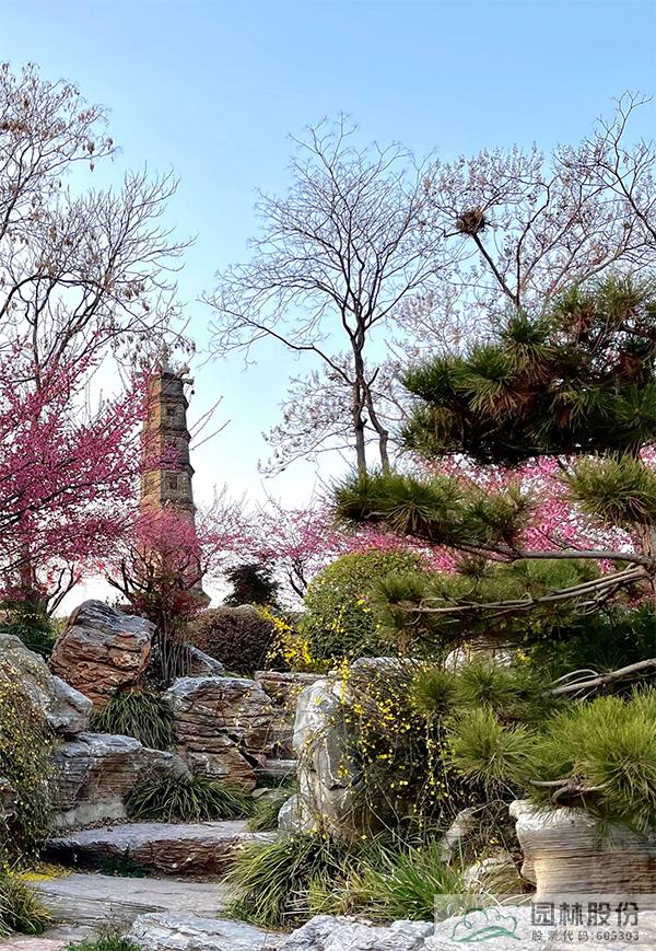 亚洲精品白浆高清久久久久久