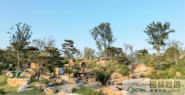 亚洲精品白浆高清久久久久久