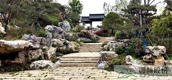 亚洲精品白浆高清久久久久久