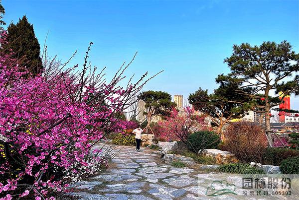 亚洲精品白浆高清久久久久久