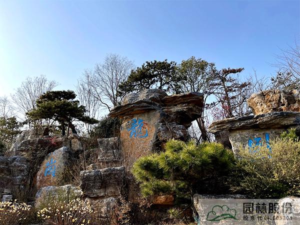 亚洲精品白浆高清久久久久久