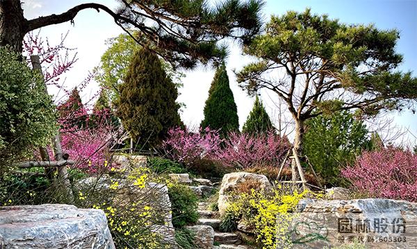 亚洲精品白浆高清久久久久久