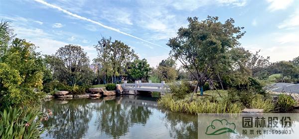 亚洲精品白浆高清久久久久久