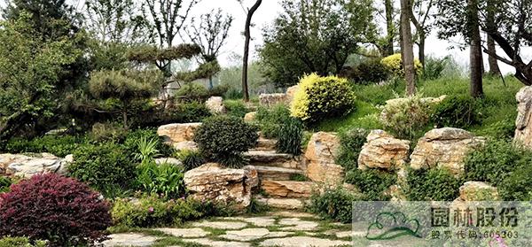 亚洲精品白浆高清久久久久久