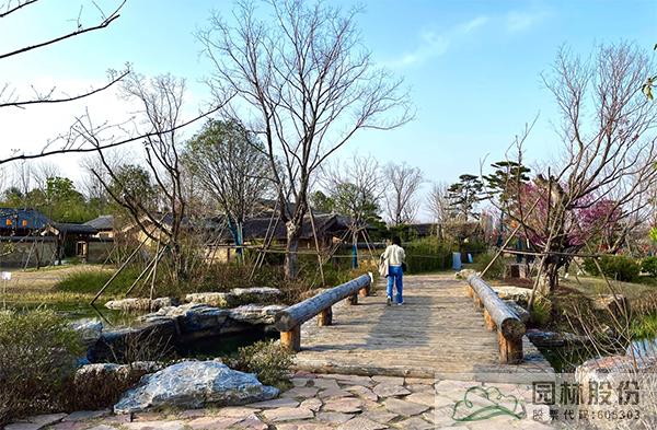 亚洲精品白浆高清久久久久久