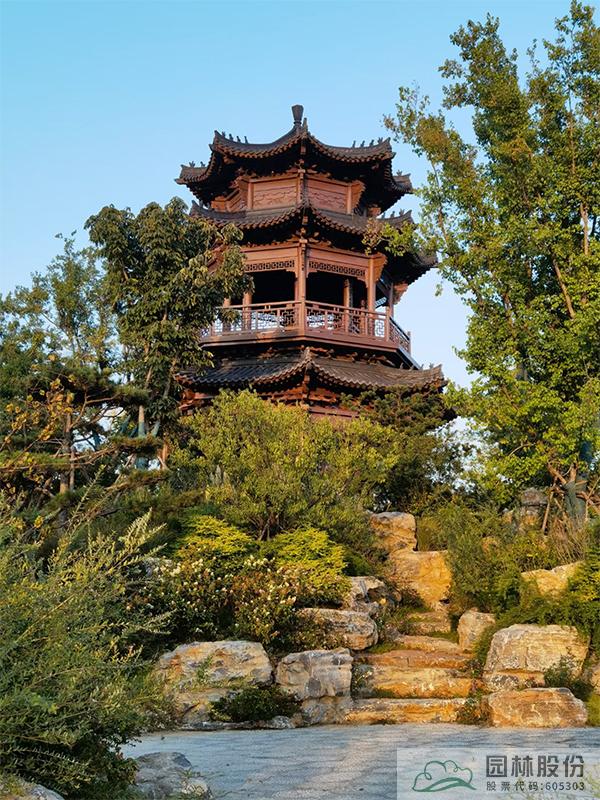 亚洲精品白浆高清久久久久久