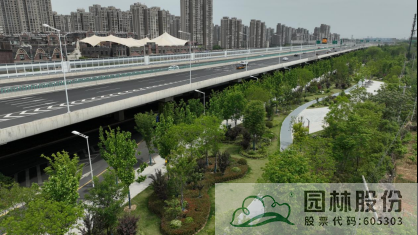 亚洲精品白浆高清久久久久久