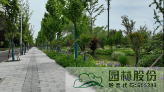 亚洲精品白浆高清久久久久久