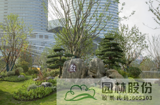 亚洲精品白浆高清久久久久久