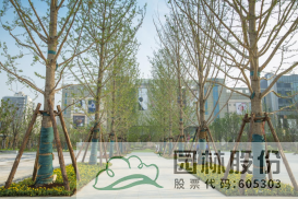 亚洲精品白浆高清久久久久久