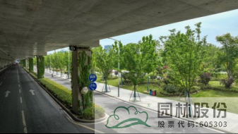 亚洲精品白浆高清久久久久久