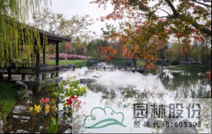 亚洲精品白浆高清久久久久久