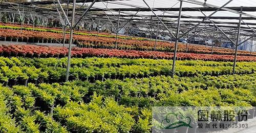 亚洲精品白浆高清久久久久久