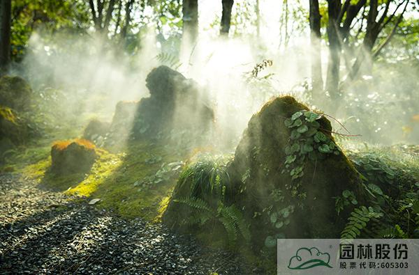 亚洲精品白浆高清久久久久久