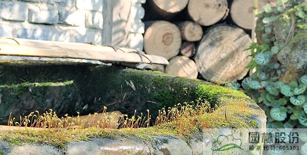 亚洲精品白浆高清久久久久久