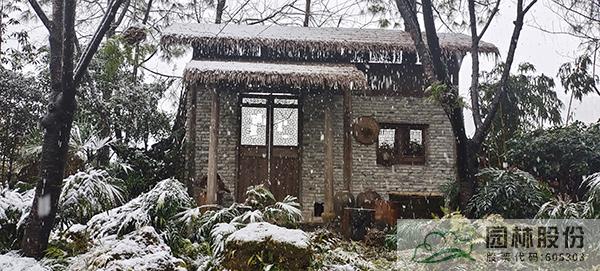 亚洲精品白浆高清久久久久久