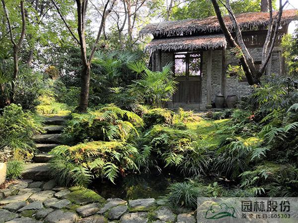 亚洲精品白浆高清久久久久久