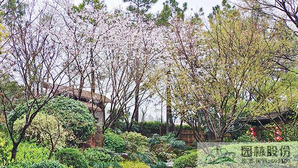 亚洲精品白浆高清久久久久久