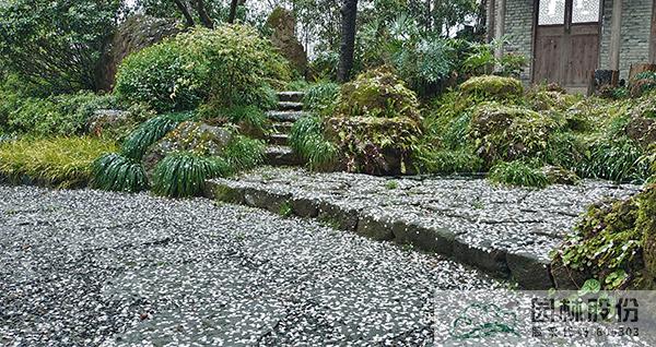 亚洲精品白浆高清久久久久久